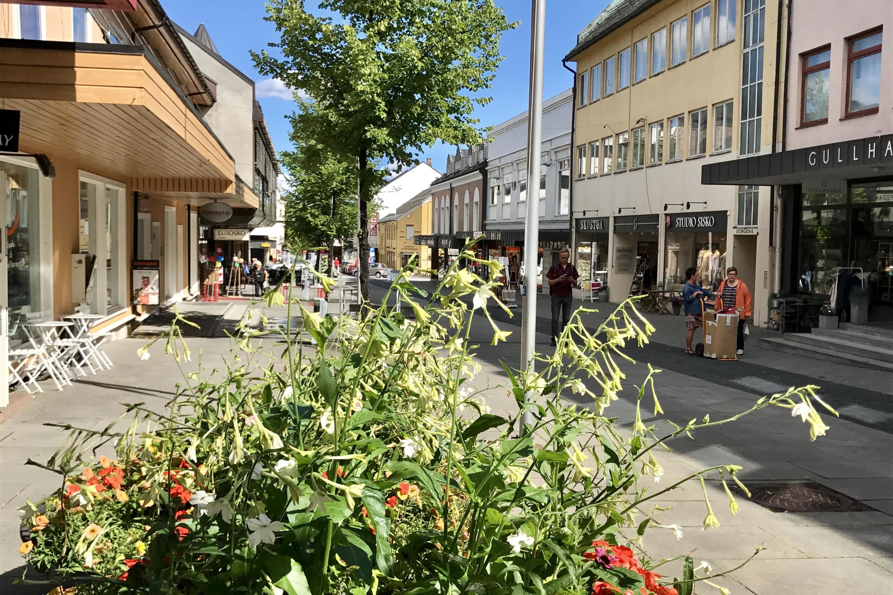 Gjøvik Sentrum - Visit Øst-Norge